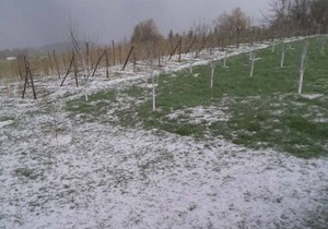 Grad veličine oraha u Prijepolju