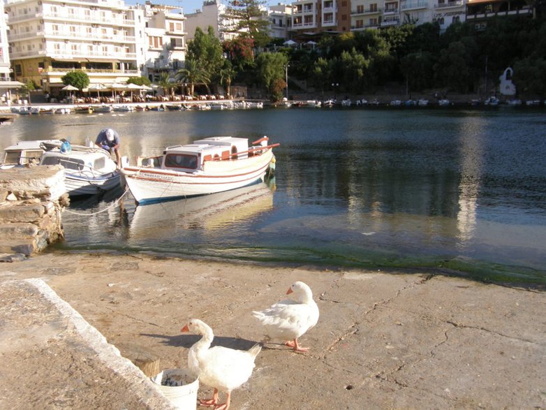 Agios Nikolaos