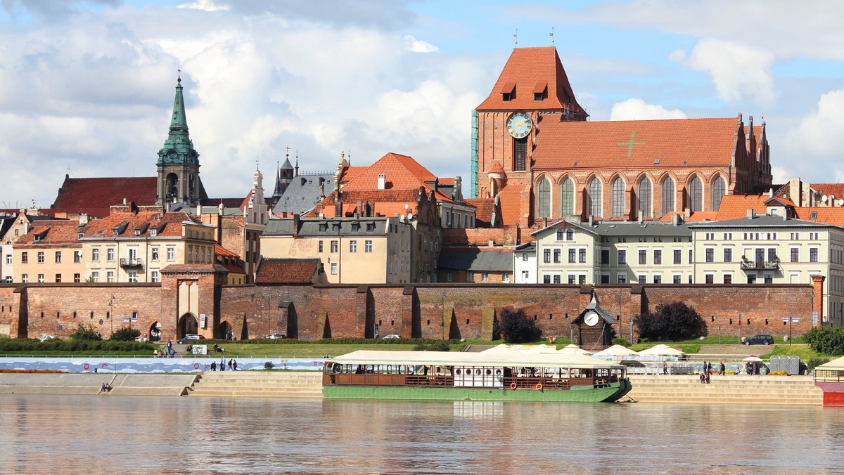 Toruń: zabytkowy wiąz zagrożony