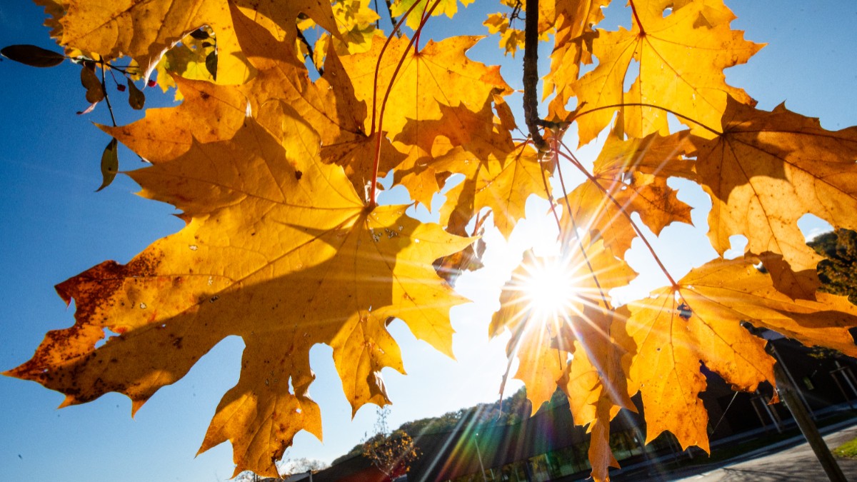 Vremea se încălzește în România, cu temperaturi de 25 de grade Celsius. Prognoza meteo ANM pentru perioada 18-28 octombrie 2026