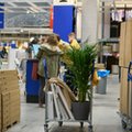 IKEA nie da rady się dłużej opierać. Ceny mają skoczyć na początku przyszłego roku