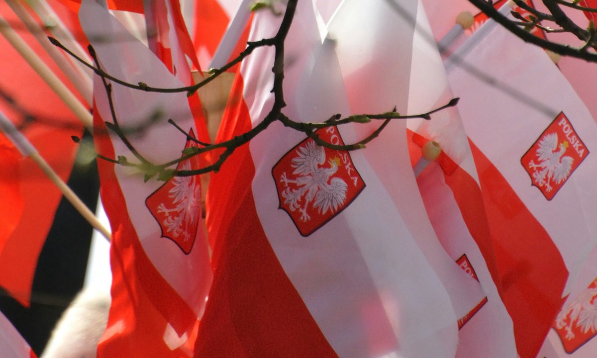 Zabójczy quiz z języka polskiego. Spróbuj zdobyć przynajmniej dwa punkty