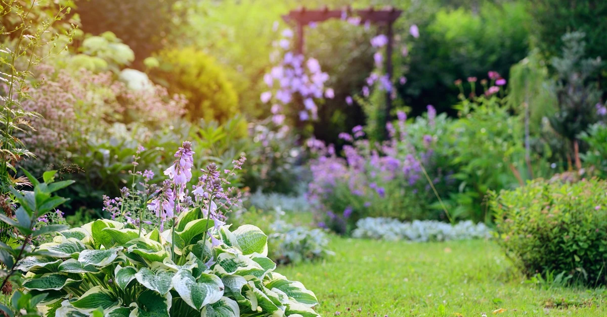 Lipiec w ogrodzie [Kalendarz ogrodnika]