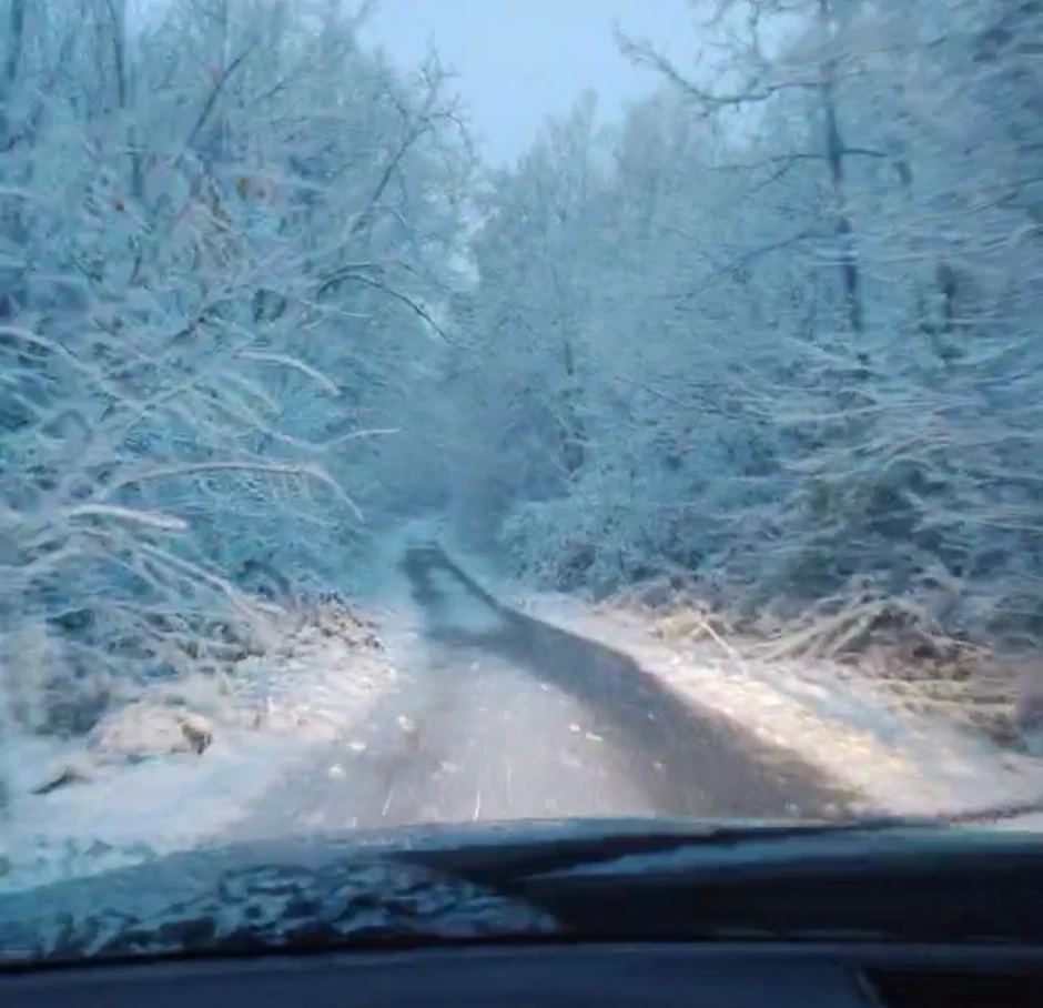 Sneg je zavejao delove Kolubarskog okruga. 