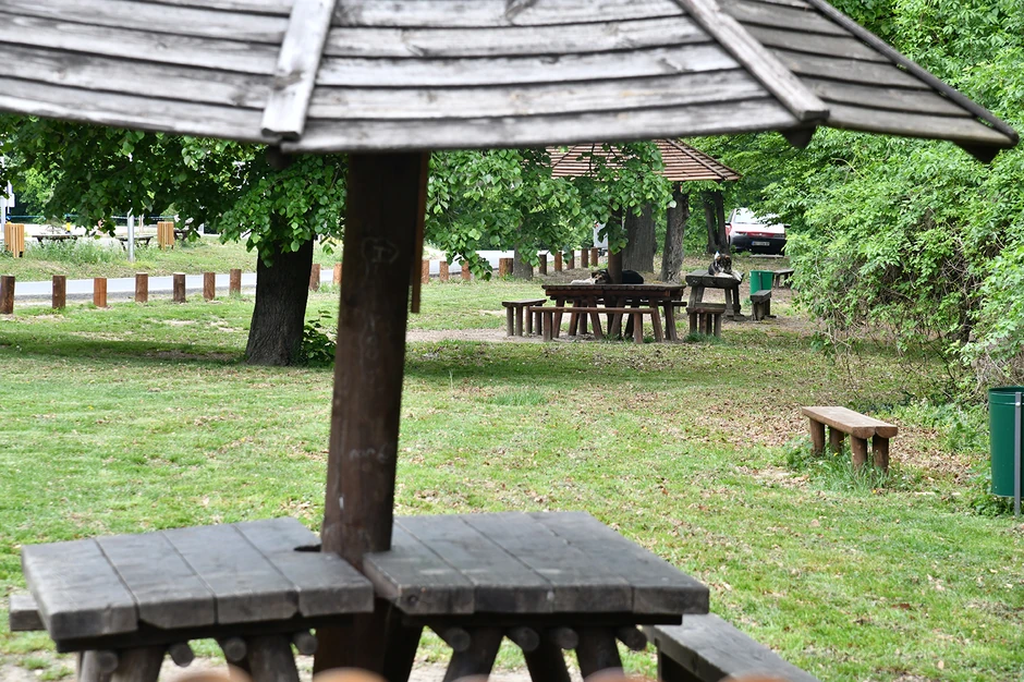 U normalnim okolonostima, ovde je nemoguće naći praznu "pečurku"