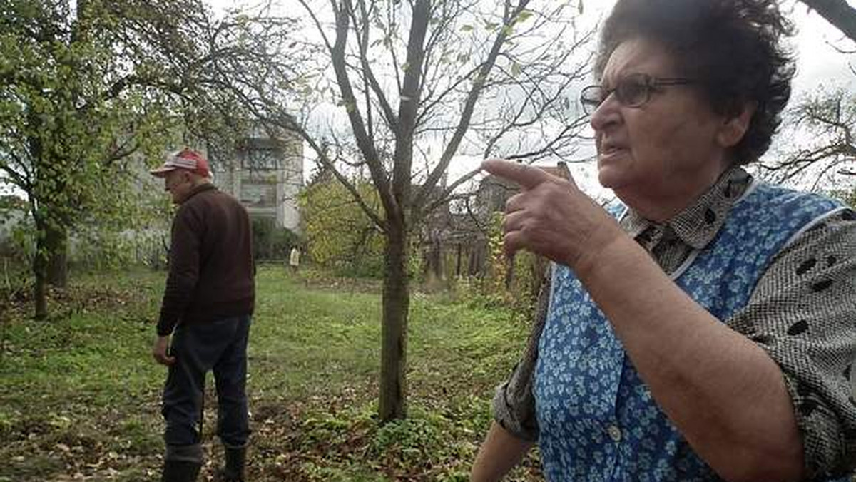 Dziki plądrują Gubin. Ludzie się boją. Władza szuka rozwiązań. - Możliwe, że będziemy strzelać - zapowiada wiceburmistrz Justyna Karpisiak.