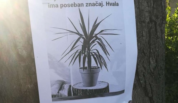 biljka-ukradena