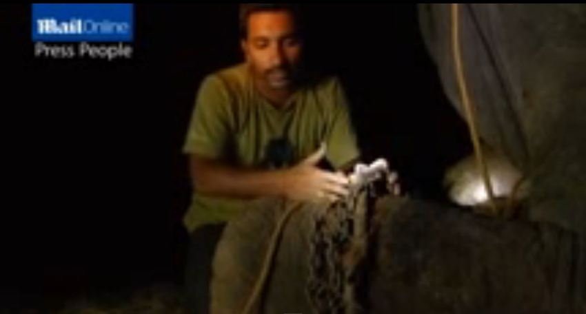 Skidanje lanaca sa slona