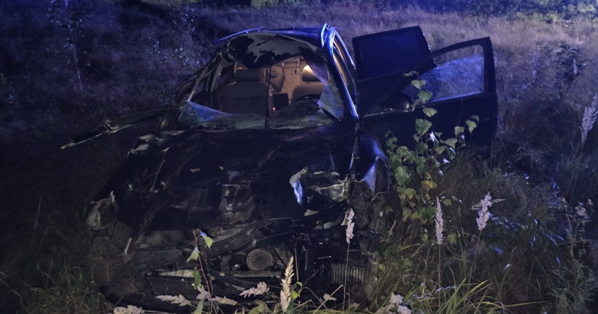 Łoś wbiegł na drogę. Zdjęcie kompletnie rozbitego auta pokazuje siłę uderzenia