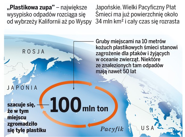 Torby zabijają dwa miliony zwierząt rocznie