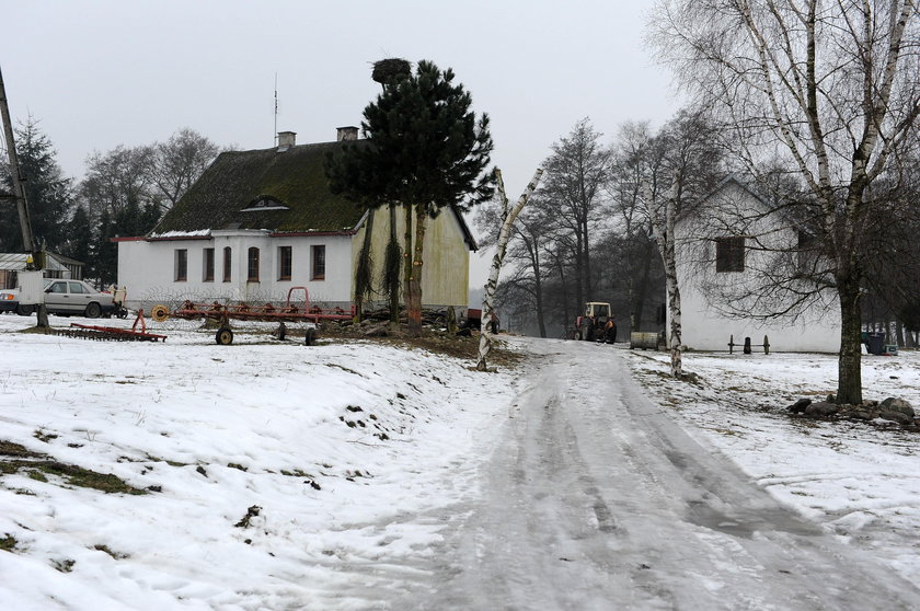 Konie sąsiada włażą mi w szkodę