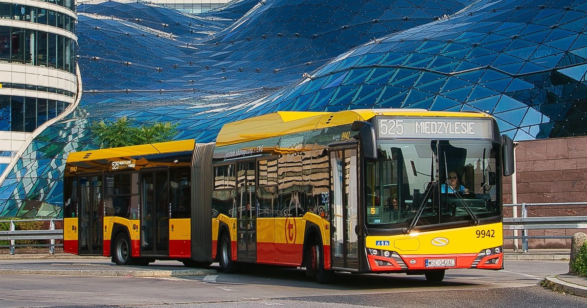 Do autobusu wszedł pies i się zaczęło. Plamy krwi na podłodze