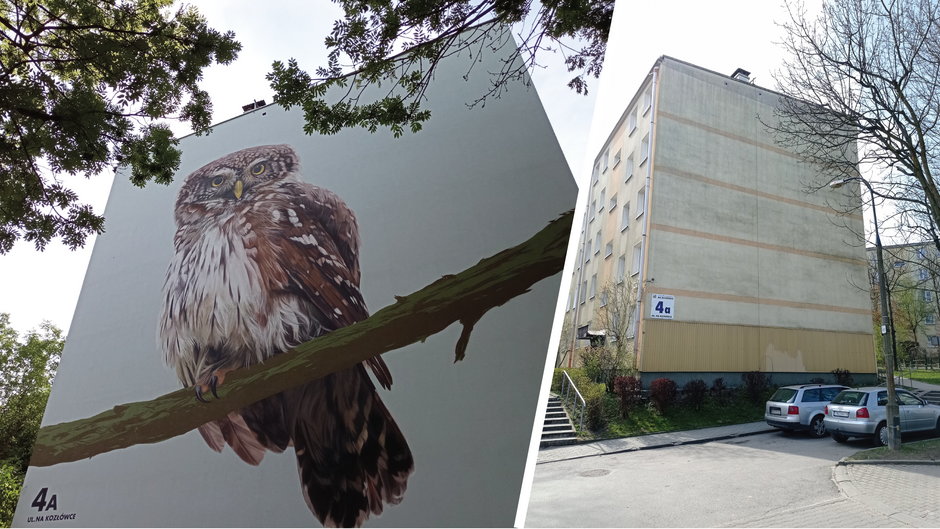 Mała sówka z Kozłówka. A może nie taka mała? Oto kolejny ptasi mural