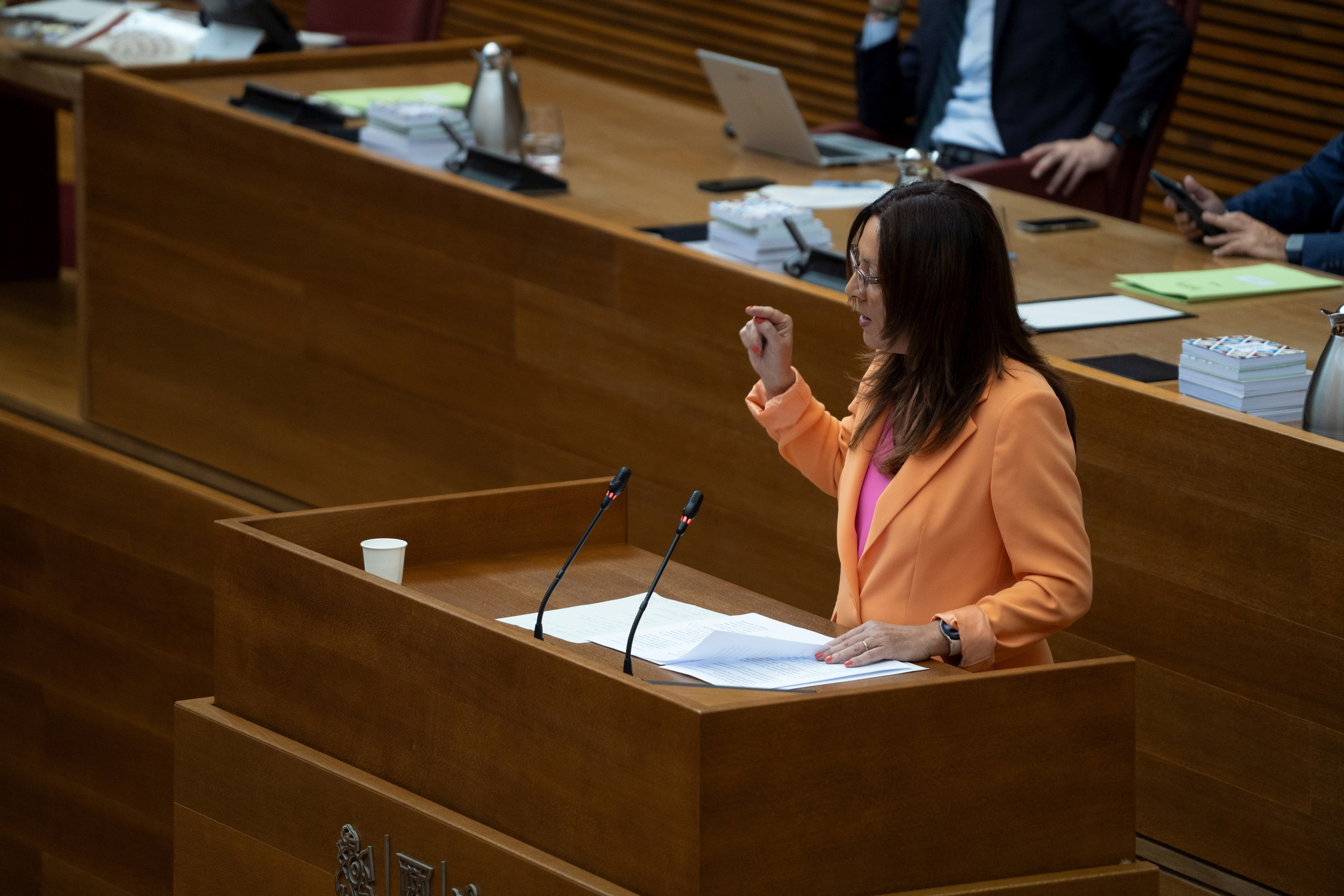 PSPV acusa al Consell de ignorar 166 llamadas de socorro