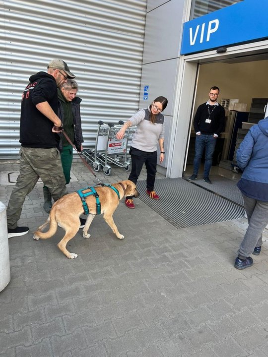 Kolejne psy z Ukrainy uratowane. Pomogło poznańskie schronisko!