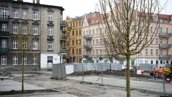 Rynek Łazarski w Poznaniu: nasadzono nowe drzewa i krzewy!