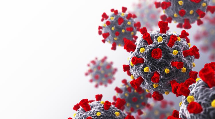 Gyengül a koronavírus, és akár vakcina nélkül is eltűnhet - állítja egy olasz virológus