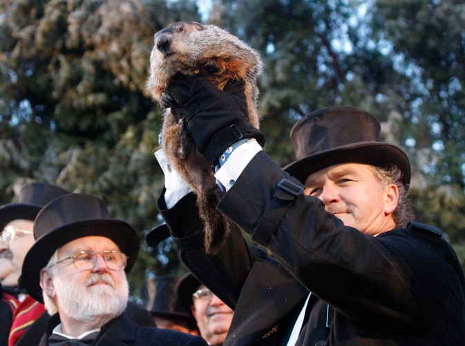 Świstak Phil przepowiada wczesną wiosnę