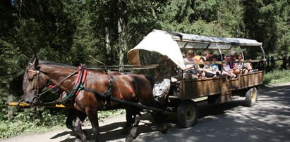 Górale domagają się odszkodowań. O co chodzi?