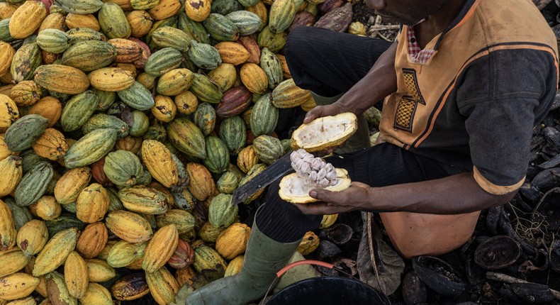 Ghana seeks to borrow $500 million from cocoa traders