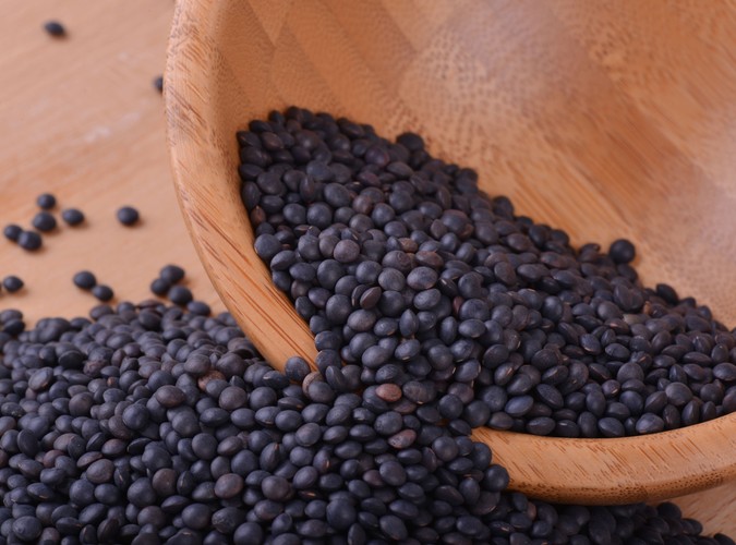 Soczewica czarna Beluga