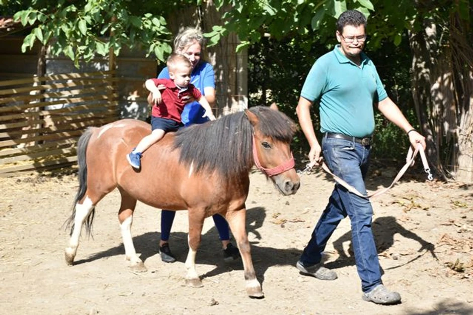 Bački zoo vrt u Kovilju