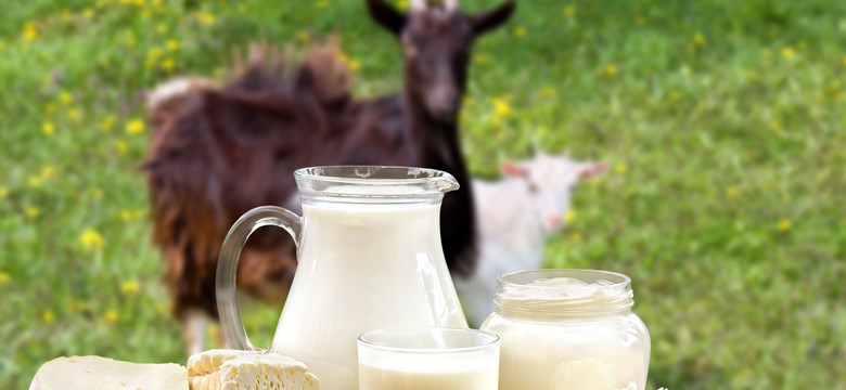 Produkty z mleka koziego – dla kogo są najlepsze?