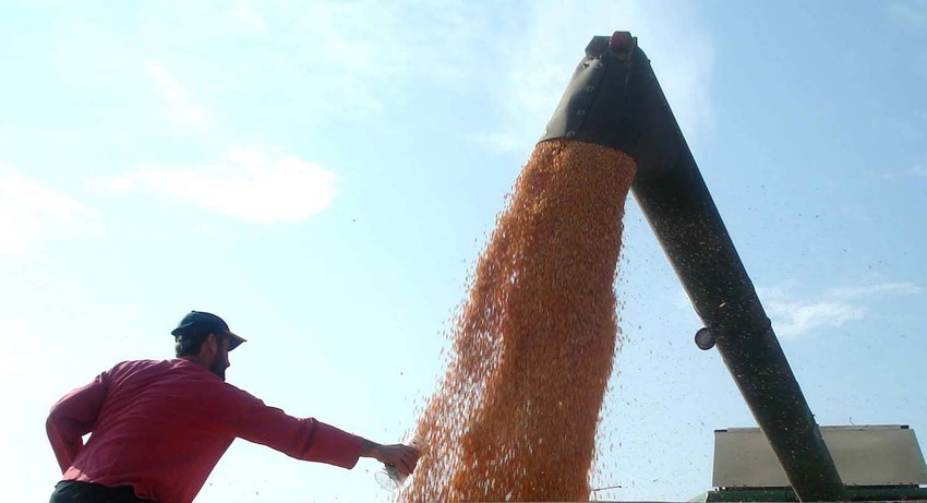 Hlebnog žita u rezervi ima za svega deset dana