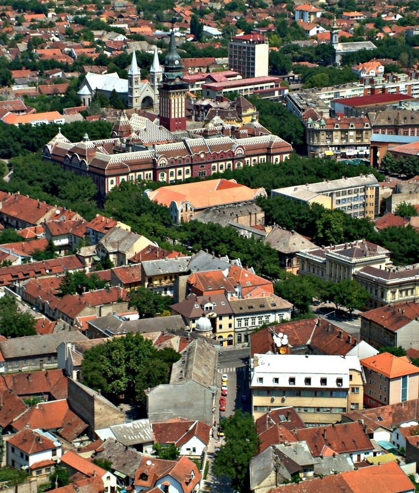 U Subotici je 28. avgusta zabeleženo 354 zrna polena ambrozije, a granična vrednost je 30