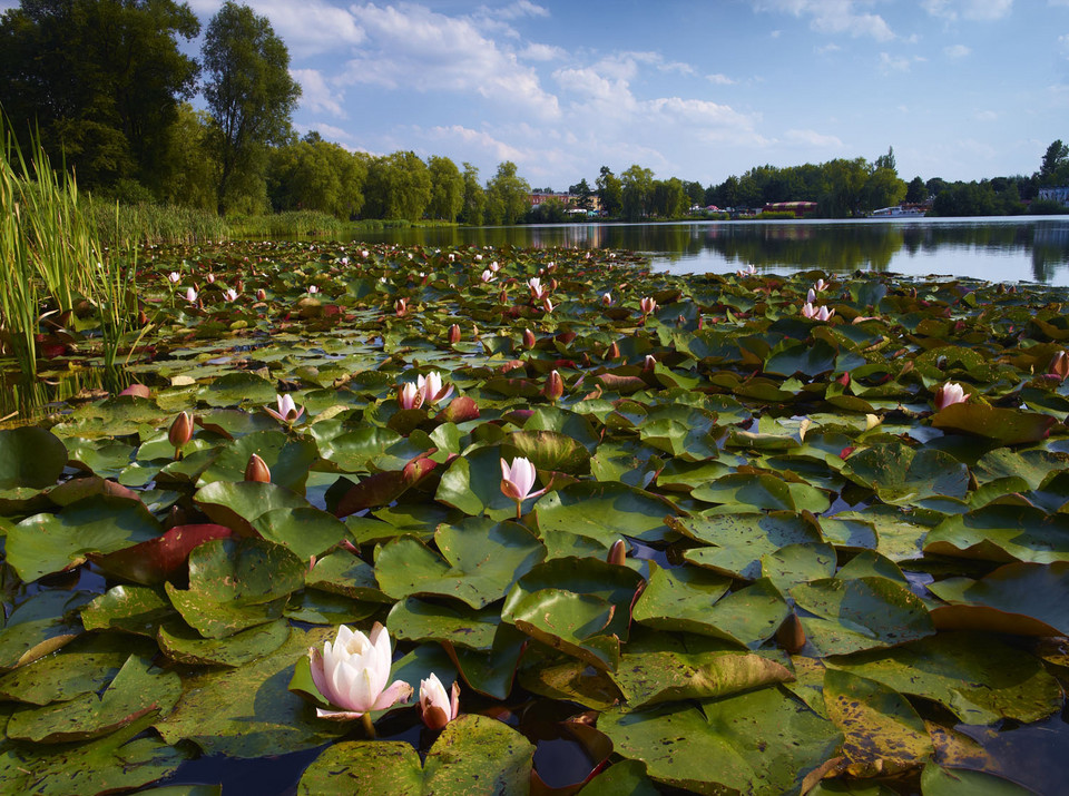 Chorzów - Park Śląski