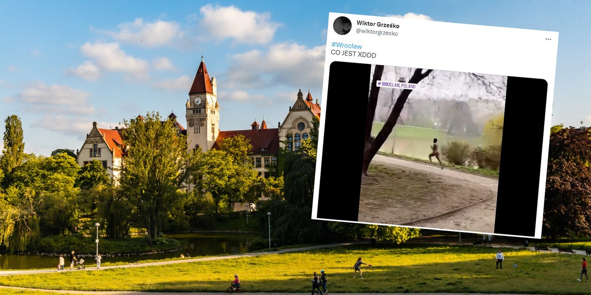 Do niecodziennej sytuacji doszło w parku Stanisława Tołpy. 