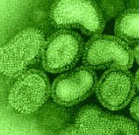 enterovirus-d0000136A598e4606900d