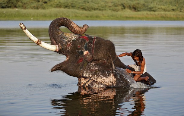 INDIA-ENVIRONMENT/