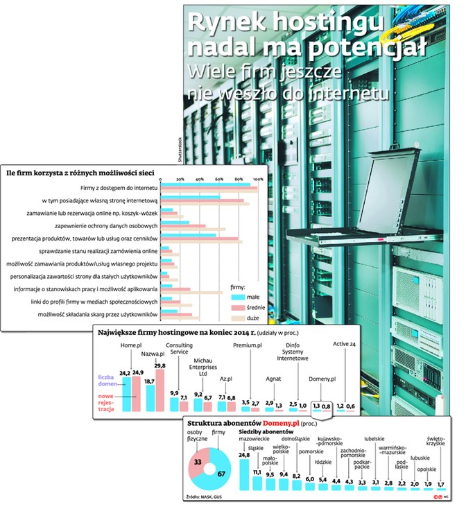 Rynek hostingu nadal ma potencjał
