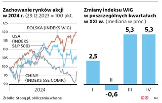 Zachowanie rynków akcji w 2024 r.