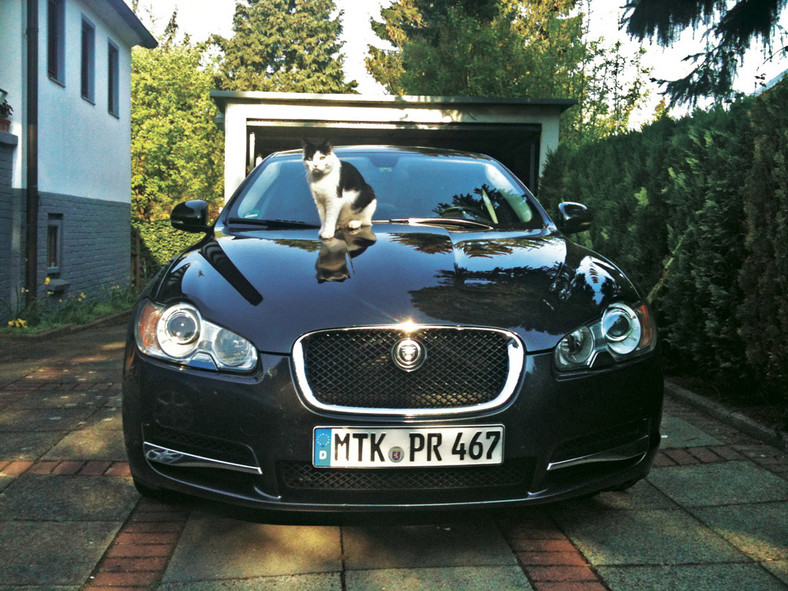 Test długodystansowy: Jaguara XF 3.0 V6