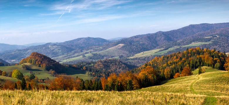 Kiczery. To właśnie nasze Bieszczady