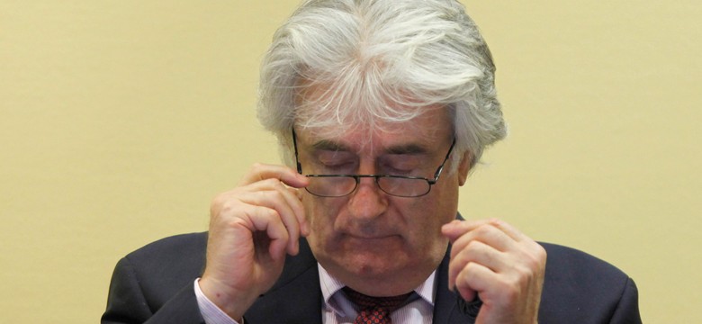 Karadżić: Powinienem zostać nagrodzony