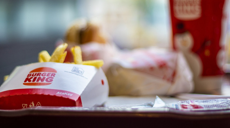 A kukából kivett sült krumplit szolgálta fel a Burger King igazgatóhelyettese / Illusztráció / Fotó: Pixabay