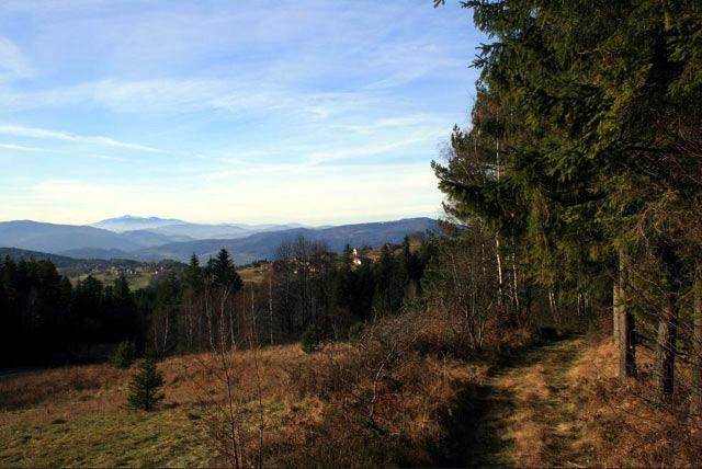 Galeria Polska - Beskid Makowski, obrazek 17