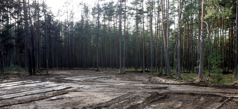 Kasacja w sprawie katastrofy lotniczej pod Mirosławcem oddalona