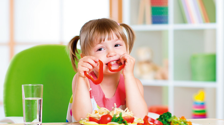 A gyerekek számára szükséges vitaminok és ásványi anyagok egy részét változatos étrenddel biztosíthatjuk /Fotó: Shutterstock
