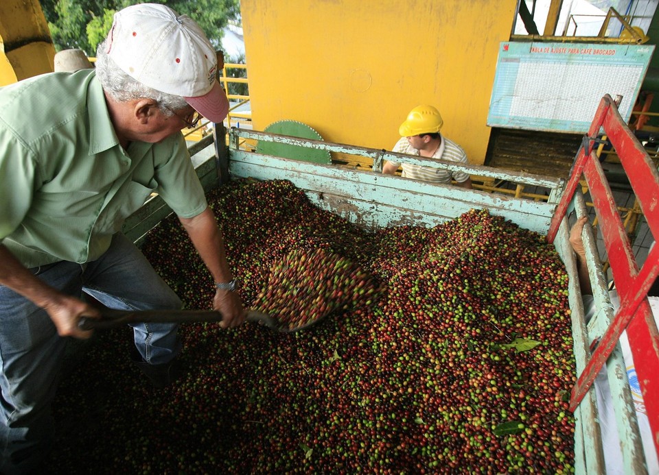 2010-02-22T173621Z_01_CRI10_RTRIDSP_3_COSTARICA-COFFEE.jpg