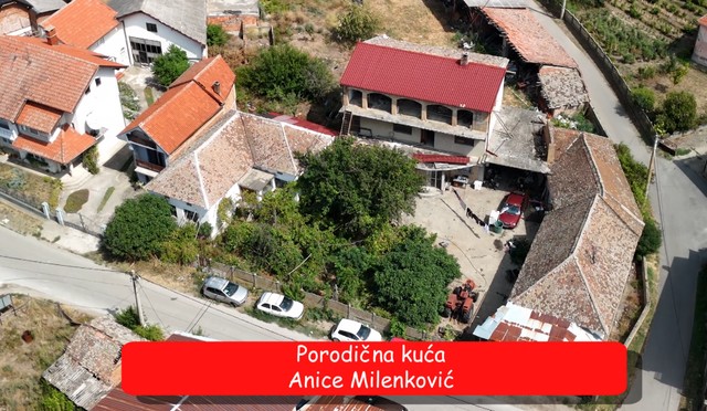Anica Milenković kuća, emisija "Metar moga sela"