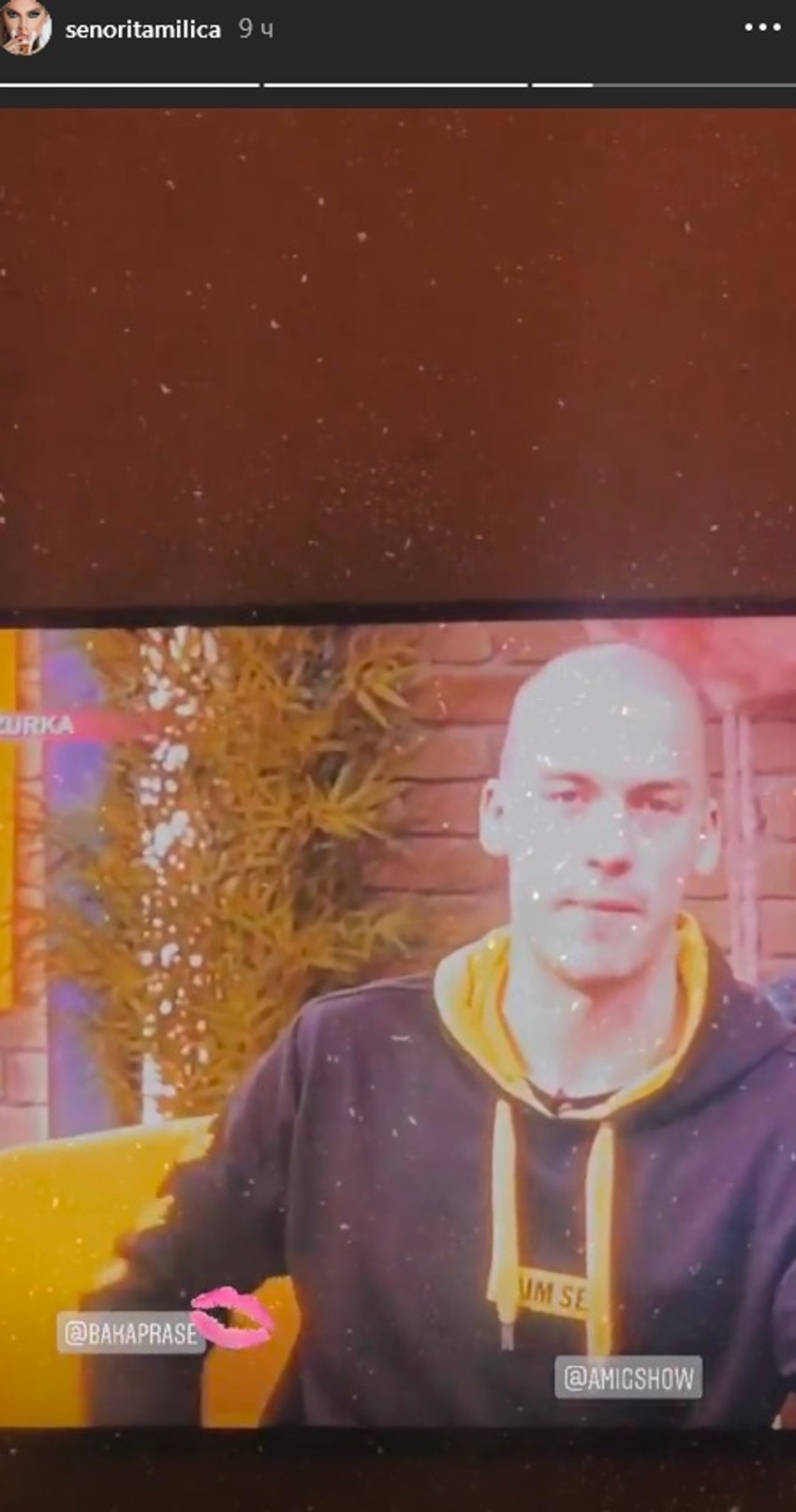 Milica Pavlović, Baka Prase