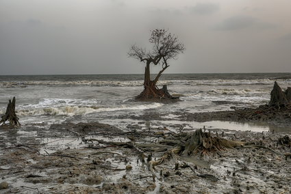 Raport Banku Światowego nie pozostawia złudzeń. Zmiana klimatu wywoła ogromne migracje