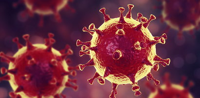 Chińczycy odkryli u nietoperzy nowe wirusy. Niektóre podobne do SARS-CoV-2!