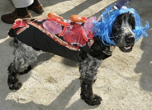 HALLOWEEN DOG PARADE US