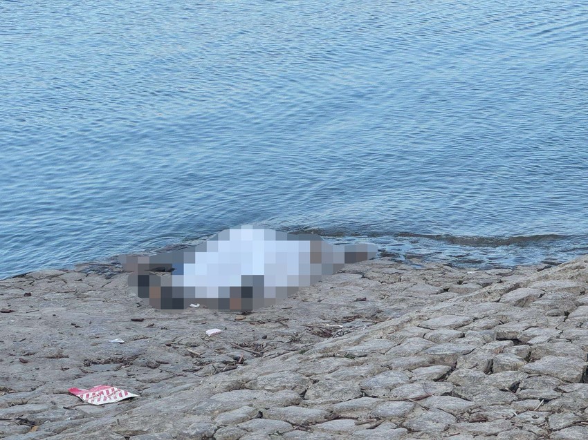 Telo na Zemunskom Keju