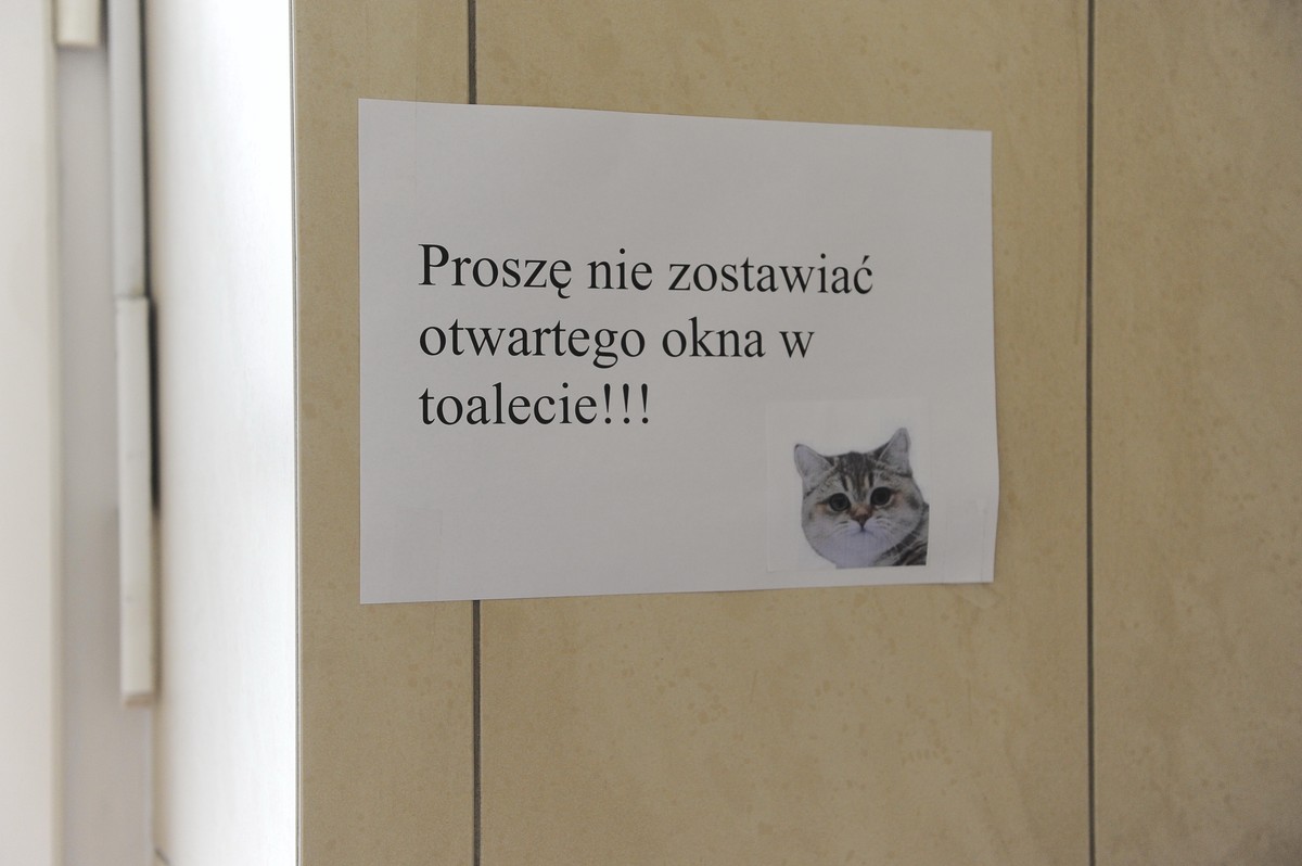 Wyznawcy paczaizmu w kancelarii premiera?